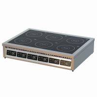 Плита индукционная 6-и конфорочная ЦМИ ПИ-6Н