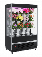 Витрина пристенная Carboma FC20-08 VM 1,0-2 FLORA CUBE