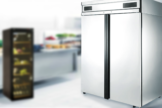 Глухие и динамичные. Неприкрытая правда о холодильных шкафах