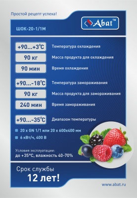 Шкаф шоковой заморозки 20-и уровневый Abat ШОК-20-1/1М